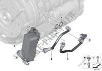 Radiatore olio cambio/Tub.radiat.olio per BMW 320dX