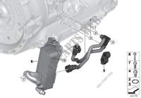 Tubaz.radiat.olio cambio/scamb.calore per BMW X3 20dX